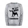 Мужской свитшот хлопок «I don't play - I dominate (футбол)» melange