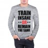 Мужской свитшот хлопок «Train insane» melange