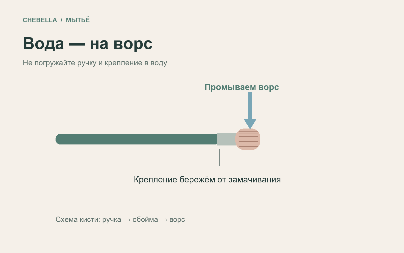 Схема кисти: промывают ворс, ручку и крепление не замачивают